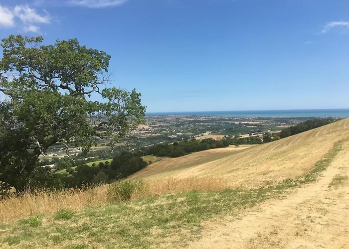 Gospodarstwo wiejskie Colle Dei Falchi Fermo