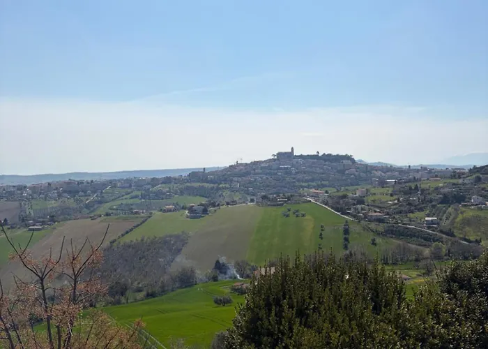 Gospodarstwo wiejskie Colle Dei Falchi